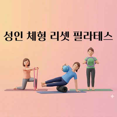 성인 체형 리셋 필라테스 - 월,수 오후 8시(월8회)