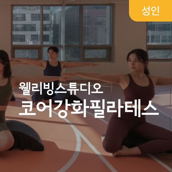 화/목 19:00,20:00,21:00 (월간)